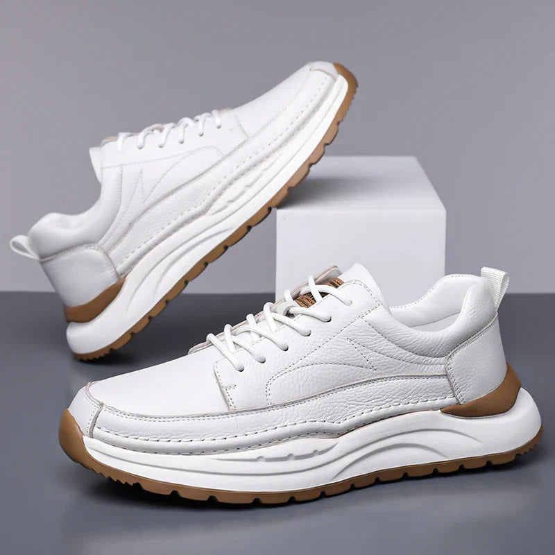 Classic Leather Men's Shoes